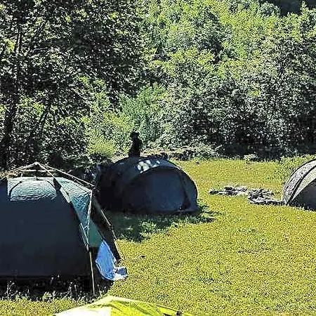 90pods Shkodër